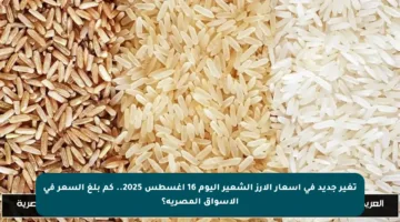 تغير جديد في أسعار الأرز الشعير اليوم 16 أغسطس 2025.. كم بلغ السعر في الأسواق المصرية؟